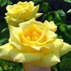 debra vigil - @debra50561burque - TikTok