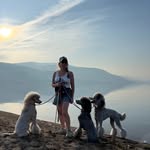 Deborah Foster-Violet - @violetstpoodles - Instagram