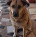 Deborah Vivienne Waite - Facebook