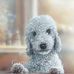 Deborah Waite - Facebook