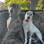 Deborah Waite Johnson - @waitejohnson - Instagram