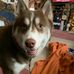 Debra Waite - Facebook