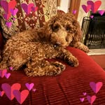 Deborah Walmsley - @deborah.walmsley.9 - Instagram