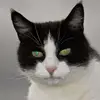 Deborah Walmsley - @deborahwalmsley67 - TikTok