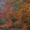 deborahweakley - @deborahweakley - TikTok