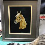 Deborah Weeks - @tennpony - Instagram