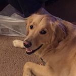 Deborah Weeks - @weeksie0924 - Instagram