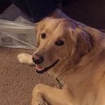 Deborah Weeks - @weeksie24 - Instagram