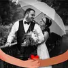 deborahweeks448 - @deborahweeks448 - TikTok
