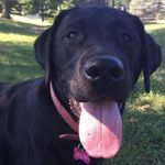 Deborah Weir - @weir4224 - Instagram