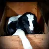 deborahwenger7190 - @deborahwenger7190 - TikTok