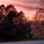 Deborah Wentz - Facebook