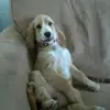 Deborah - @deborah.west - TikTok