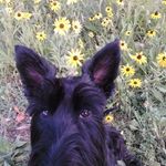 Deborah Onken Wheatley - @owheatldumb - Instagram