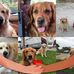 Deborah Wheatley - Facebook