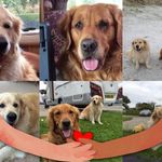 Deborah Wheatley - @deborah.wheatley1 - Instagram