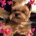 Deborah Wheatley - Facebook