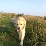 Deborah Wheatley - @brackennella - Instagram