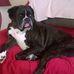 Deborah Wheatley - Facebook