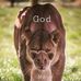 Deborah Whitfield - Facebook