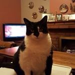 Deborah Whitfield - @debbiewhitfield.dwgmail.com_ - Instagram