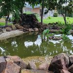 Deborah Whitfield - @deborahwhitfiled65 - Instagram