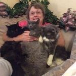 Deborah Willard - @debbiewillard1957 - Instagram