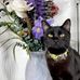 Deborah Willard - Facebook