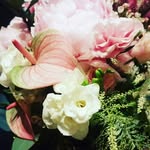 Deborah Wing - @deborah_wing990 - Instagram