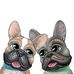 Debbie Witmer - Facebook