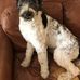 Deborah Winger - Facebook