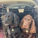 Deborah Withers - @withers2253 - Instagram