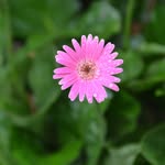 Deborah Bryant Worrall - @worralldeborah - Instagram