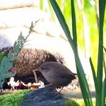 Deborah Wright - @deborah.wright.1276 - Instagram