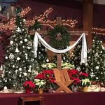 Deb Wulff - @deborah_wulff - Instagram