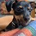 Deborah Wulff - Facebook