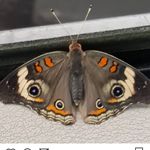 Debra - @aarondebra - Instagram
