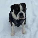 Debra Abbott - @debra.abbott.520 - Instagram