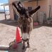 Debra Aberegg - Facebook