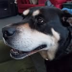 Debra Buffington Addison - @debra.addison.71 - Instagram