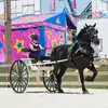 debrarahl - @debrarahl - TikTok