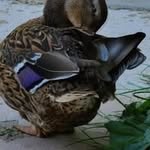 Deborah Aiken - @deborah.aiken01 - Instagram