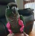 Debbie Aitchison - Facebook