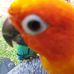 Debbie Aitchison - Facebook