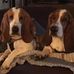 Debbie Aitchison Brooks - Facebook