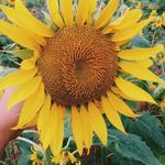 Debra French - @debra.albarq.9 - Instagram