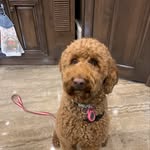 Deb Alger - @debalger - Instagram