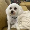 Debra Califf - @debcaliff - TikTok