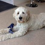 Debra Carey - @debra.allard.33 - Instagram