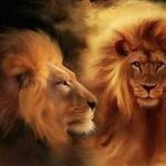 Debra Allard - @debra.allard.9 - Instagram